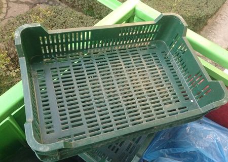Vand lazi transport culoare verde