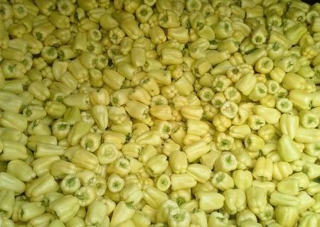 Vand Legume