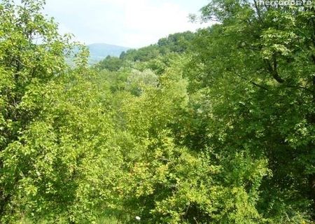 Vand livada