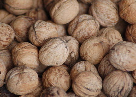 Vand nuci in coaje 10 Lei/kg