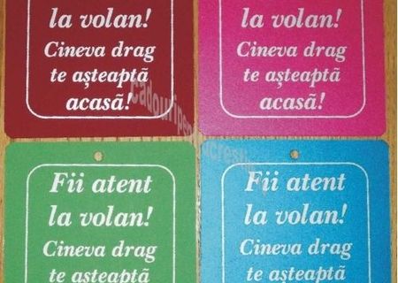 Vand ornamente din carton special pentru masina