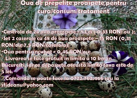 Vand oua de prepelita proaspete