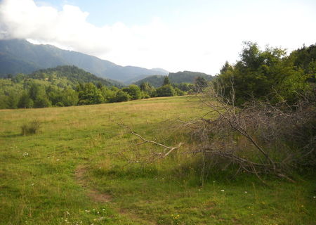 VAND PARCELE DE 1000-2000MP TEREN RASNOV GLAJERIE