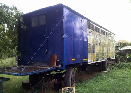Vand pavilion apicol