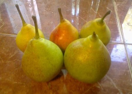 vand pere zemoase