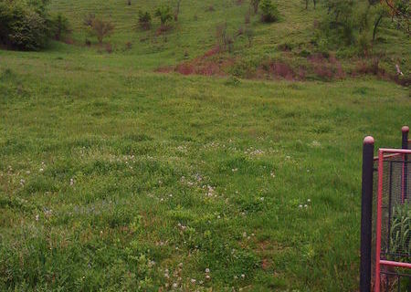 Vand teren