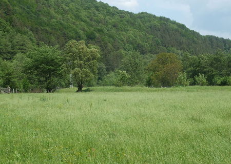 VAND TEREN 2500 M/P IN POIANA SARATA -OITUZ 6 E M/P VAND TEREN 2500 M/P IN POIANA SARATA -OITUZ 6 E M/P