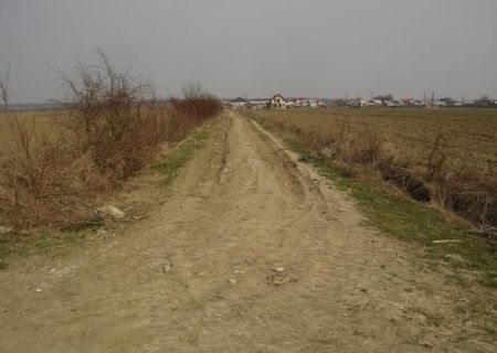 VAND TEREN 26200 MP IN PUCHIENI MOSNENI PRAHOVA