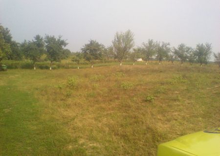 vand teren 5000m2