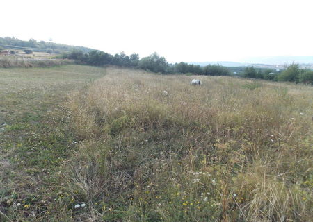 Vand teren,Com.Feleac,jud.Cluj