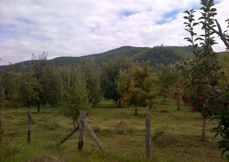 Vând teren de casă, împomat, lângă DN72A