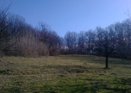 vand teren extravilan 27 600 mp, parcelat
