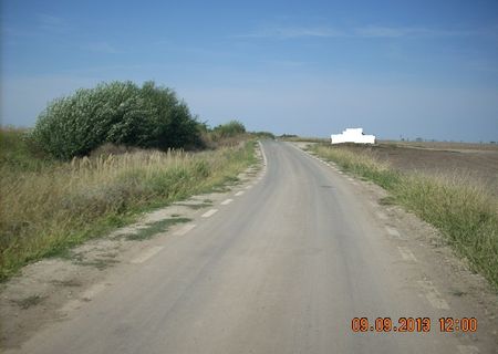Vand teren extravilan Adunatii Copaceni 4 Ha Particular