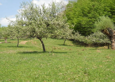 VAND TEREN EXTRAVILAN OLANESTI SAT 6000MP