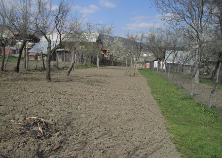 vand teren ieftin la aer curat de munte