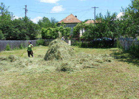 Vand teren in Romanii de jos, 2500 mp