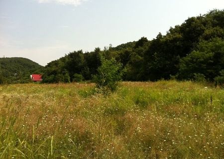 Vand teren in zona pitoreasca Sarata-Monteoru, Buzau