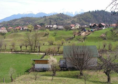 Vand teren intravilan construibil Moeciu
