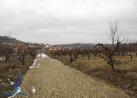 Vand teren intravilan in Oradea, in zona Oncea