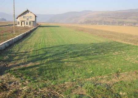 Vand teren intravilan in sat Cheia