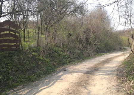 vand teren la tara