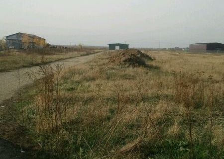 Vand teren pentru hale