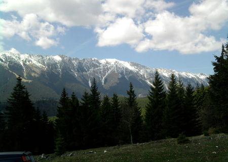 Vand teren Piatra Craiului 3000mp