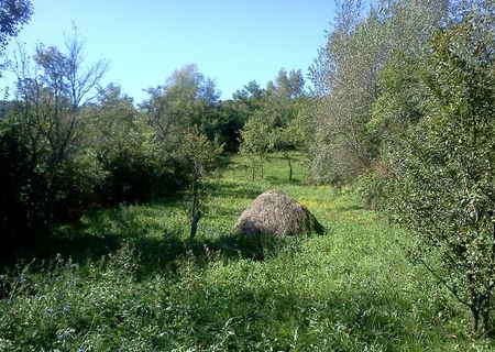 Vand teren Slanic