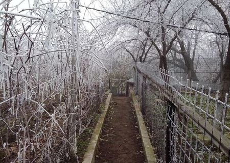 vand teren zona piata centrala
