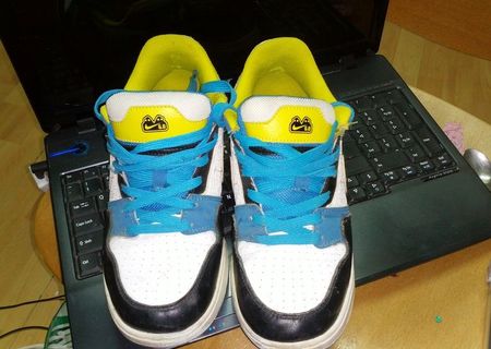 Vand urgend shoes Nike