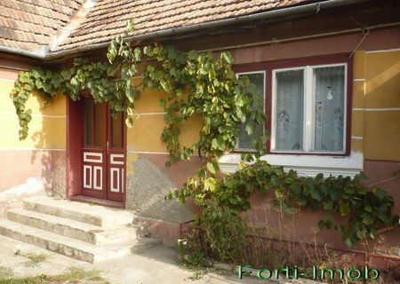 Vannd casa 3 camere in Halchiu 98 mp