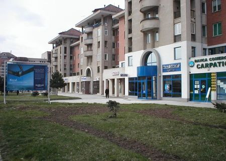 vanzare Alba Iulia