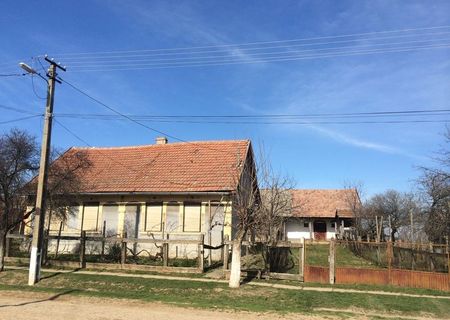 Vanzare casa cu teren Sauca