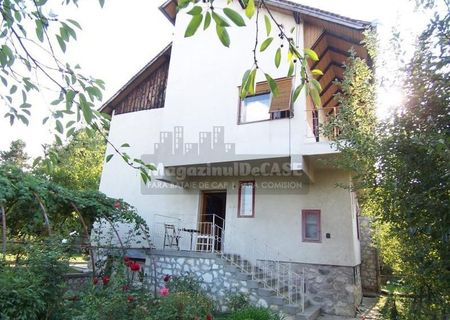 Vanzare casa tip vila in Cisnadie