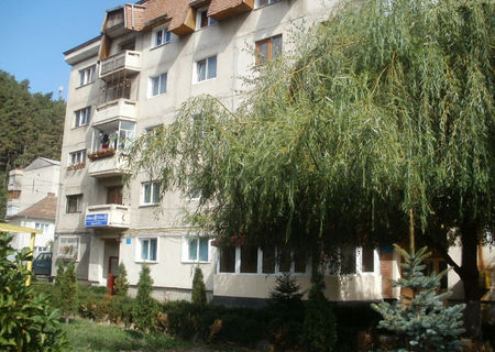 vanzare Comanesti vanzare Comanesti