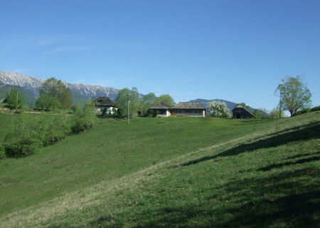 Vanzare teren 5,5 ha-Fundata, Sirnea