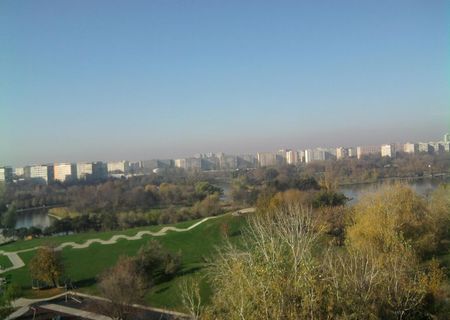 Vedera superba Parcul IOR