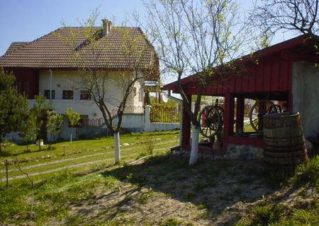 Vila, anexe si teren in Comuna Cazanesti