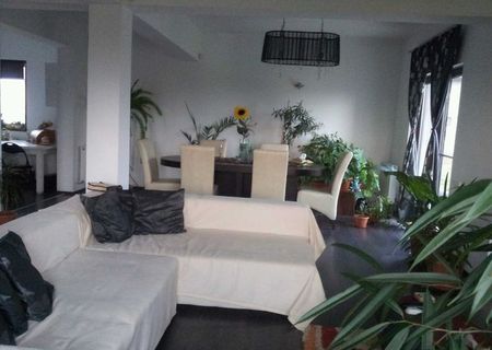 vila Domnesti