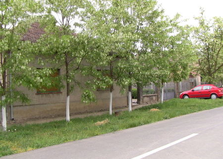 Vind casa in Parta