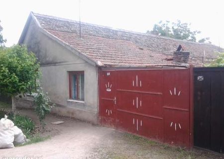 vind casa in pecica