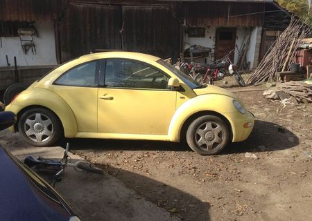 Wv beetle an 1999