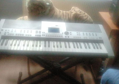 yamaha psr-s550 silver