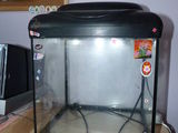 Acvariu HAILEA 30 litri + accesorii