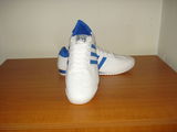Adidas Dragon