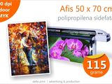 Afise 50x70 cm - 11 lei Print indoor pe polipropilena sidefata 115g