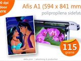 Afise A1 - 15 lei Print indoor pe polipropilena sidefata 115g