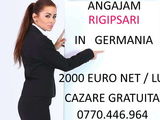 Angajam rigipsar in Germania