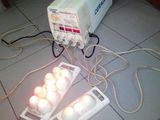 Aparat medical de termomasaj