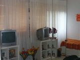 Apartament 2 camere Alunisului